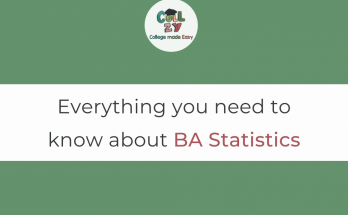 Everything you need to know about BA Statistics
