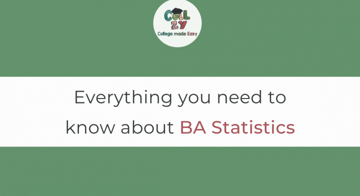 Everything you need to know about BA Statistics