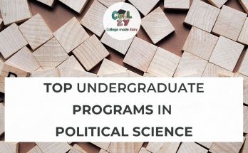 Top undergraduate programs in Political Science