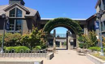 UC sets record-breaking applications second year in a row