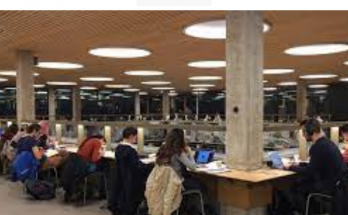 Dutch Universities to admit fewer international students