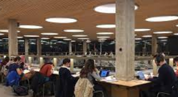 Dutch Universities to admit fewer international students