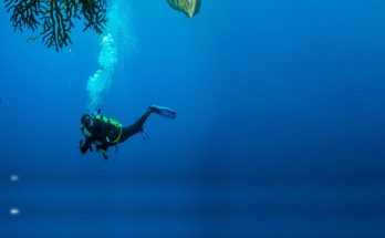 A Career in Oceanography