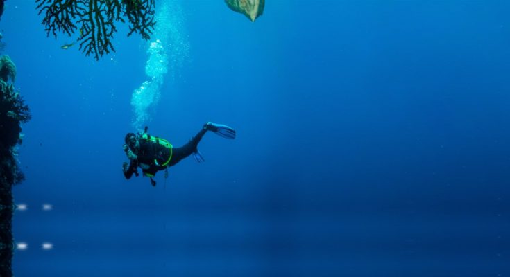 A Career in Oceanography